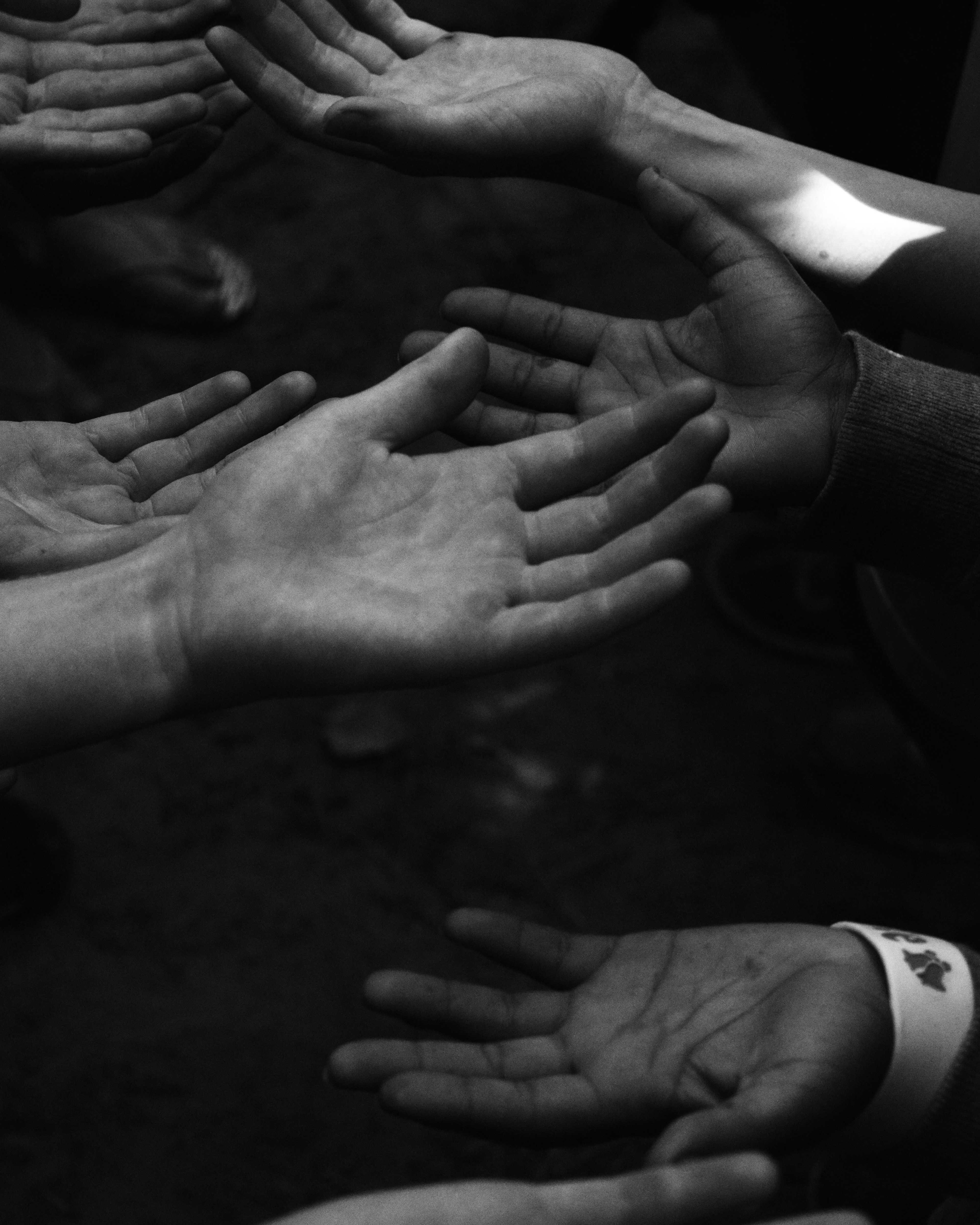 Foto: Mckenna Phillips/Unsplash