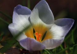 original_R_K_by_Wolfgang Dirscherl_pixelio.de